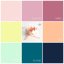 Charger l'image dans la galerie, Kit de décoration : COURONNE, CAKE TOPPER, GUIRLANDE